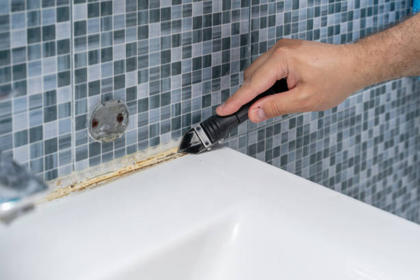 Best Insurance-Related Mold Remediation in Valley Center, KS