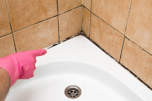 Best Mold Testing and Inspection Services in Valley Center, KS
